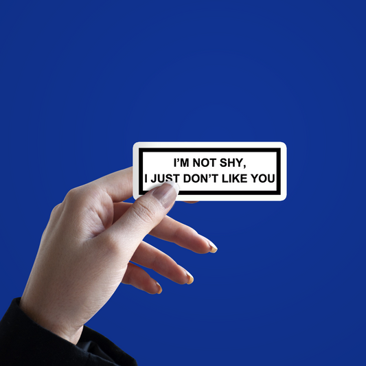 _I'm Not shy i just Don't Like you Sticker