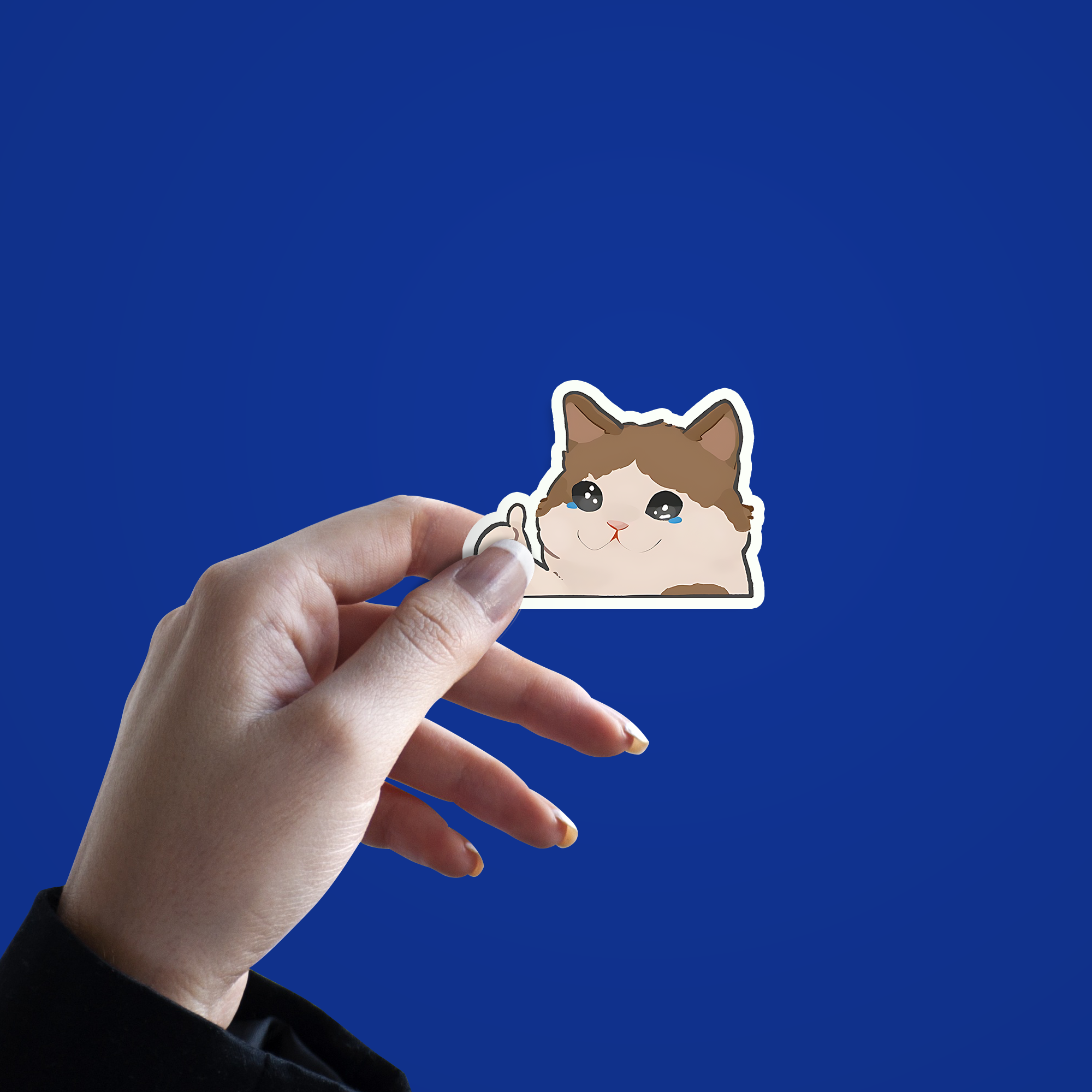 cute Cat crying Sticker