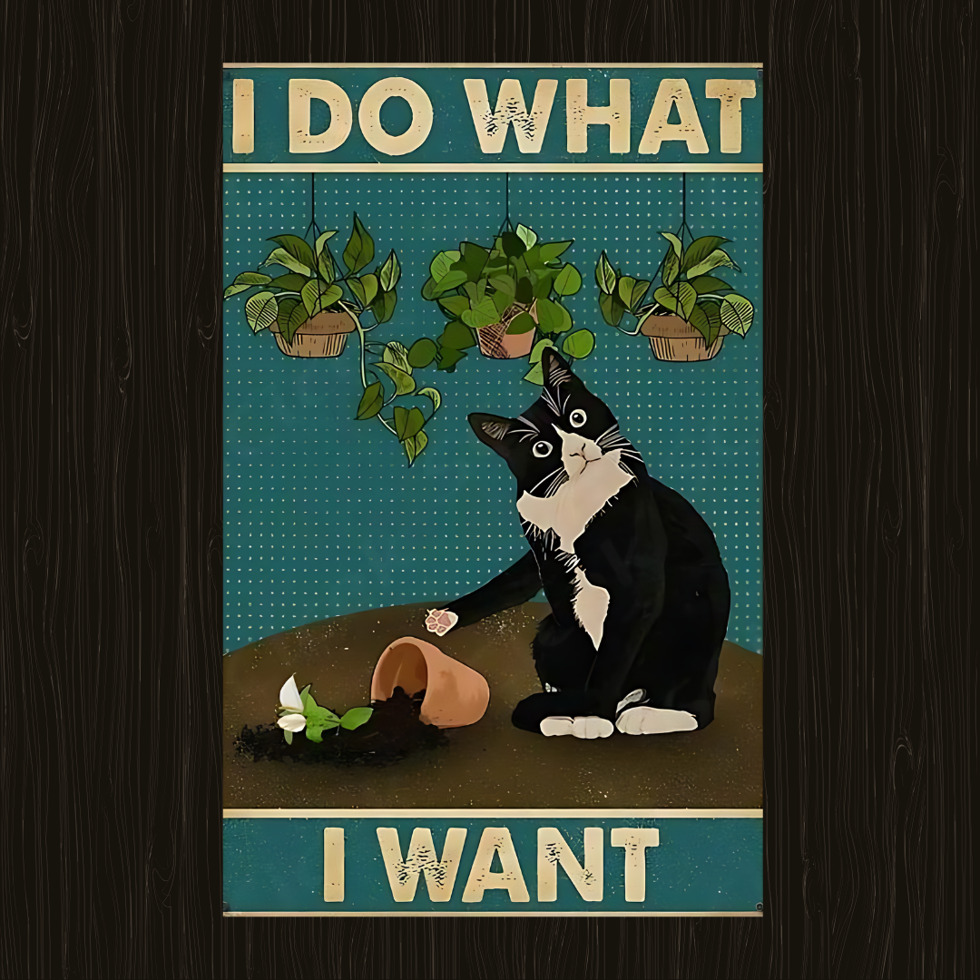 I do what i want Poster