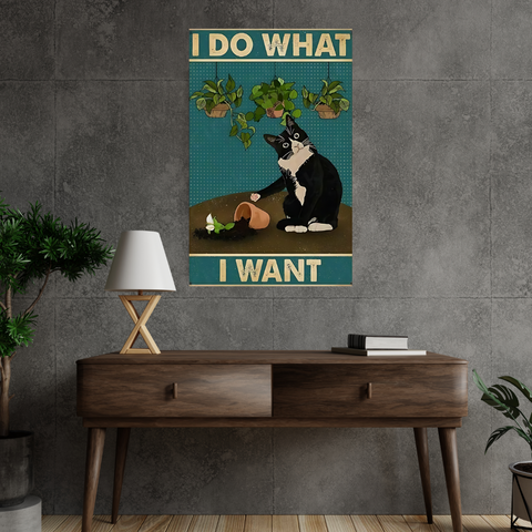 I do what i want Poster