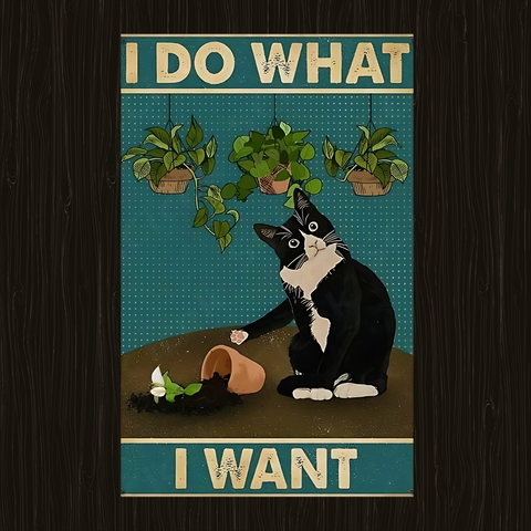 I do what i want Poster