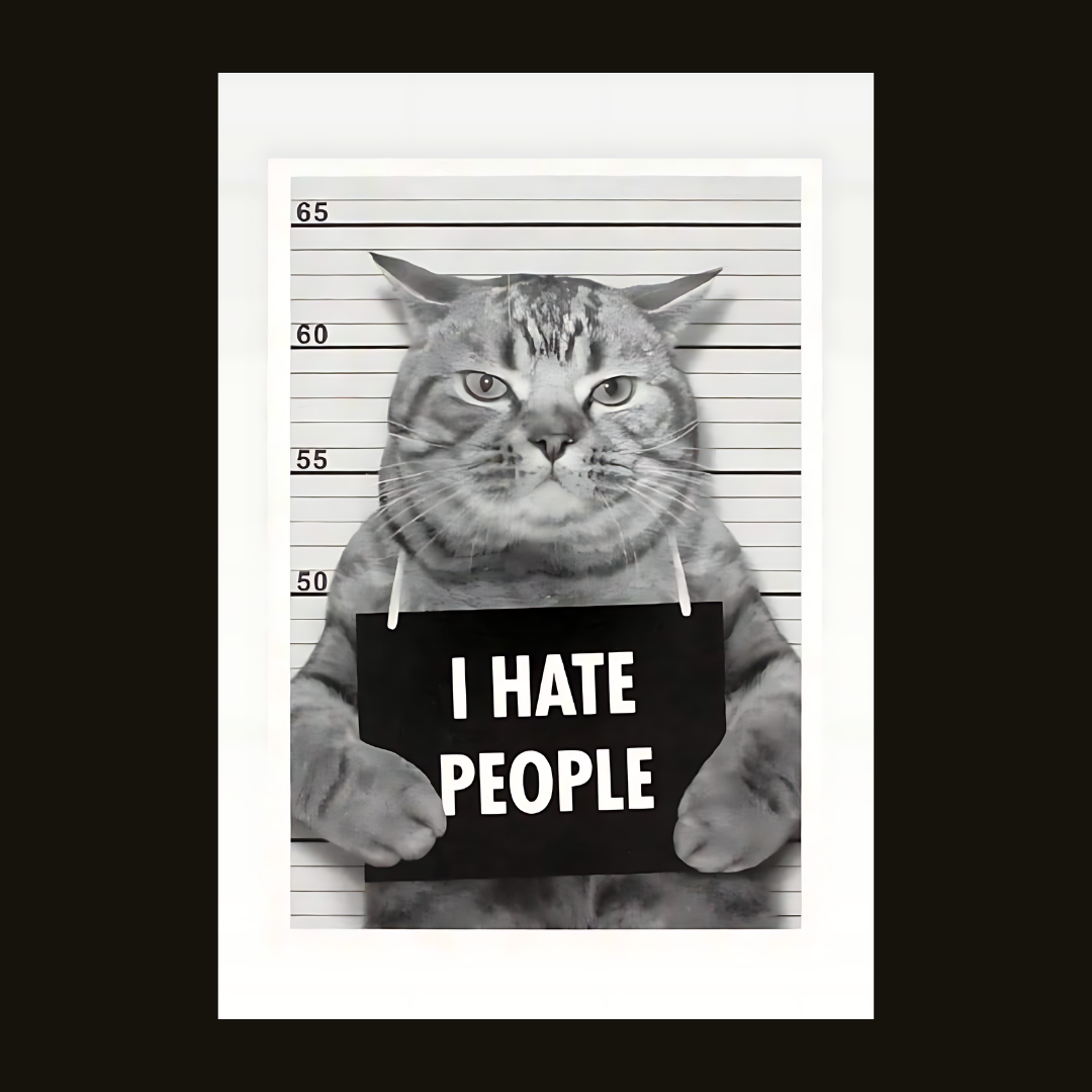 I hate people cat poster