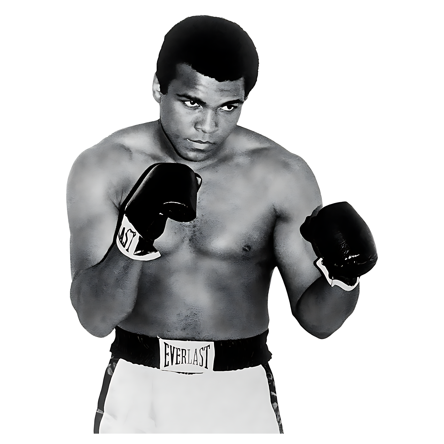 Mohammad Ali Boxer Sticker v2