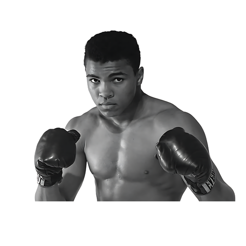 Mohammad Ali Boxer Sticker v6